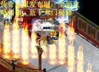 传奇私服发布网：全面攻略指南，新手入门秘籍