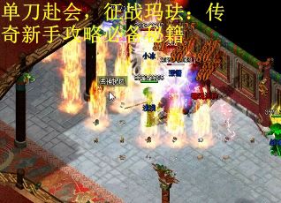 单刀赴会，征战玛珐：传奇新手攻略必备秘籍
