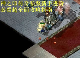 神之印传奇私服新手进阶必看超全面攻略指南
