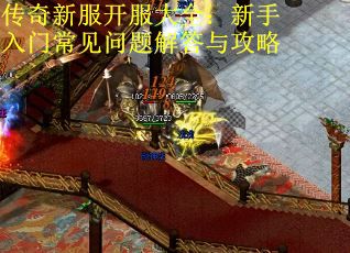 传奇新服开服大全：新手入门常见问题解答与攻略