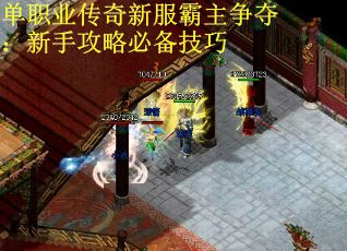 单职业传奇新服霸主争夺：新手攻略必备技巧