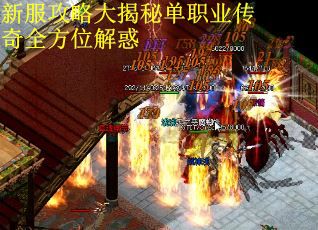 新服攻略大揭秘单职业传奇全方位解惑