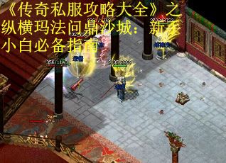 《传奇私服攻略大全》之纵横玛法问鼎沙城：新手小白必备指南