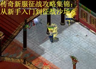 传奇新服征战攻略集锦：从新手入门到征战沙场