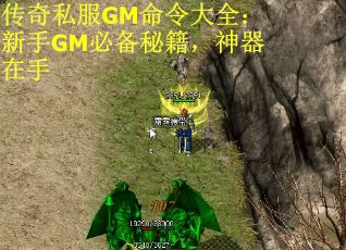 传奇私服GM命令大全：新手GM必备秘籍，神器在手