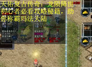 天佑复古传奇：龙陨降世初心者必看攻略秘籍，助你称霸玛法大陆