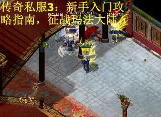 传奇私服3：新手入门攻略指南，征战玛法大陆