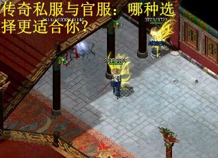 传奇私服与官服：哪种选择更适合你？