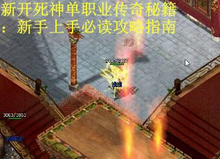 新开死神单职业传奇秘籍：新手上手必读攻略指南