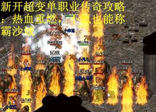 新开超变单职业传奇攻略：热血重燃，不氪也能称霸沙城