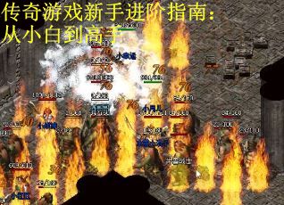 传奇游戏新手进阶指南：从小白到高手