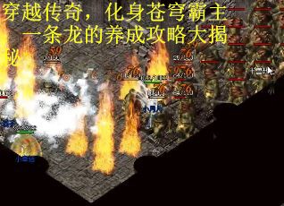 穿越传奇，化身苍穹霸主：一条龙的养成攻略大揭秘