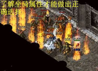 了解坐骑属性才能做出正确选择