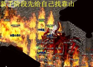 新手阶段先给自己找靠山