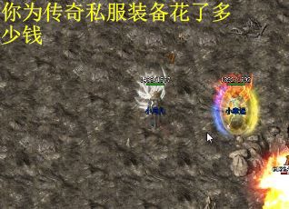你为传奇私服装备花了多少钱