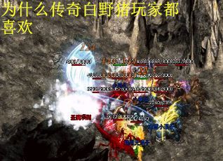 为什么传奇白野猪玩家都喜欢