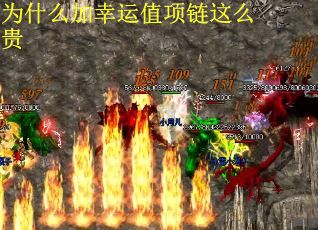 为什么加幸运值项链这么贵