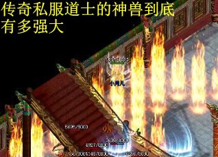 传奇私服道士的神兽到底有多强大