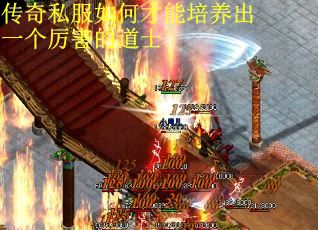 传奇私服如何才能培养出一个厉害的道士