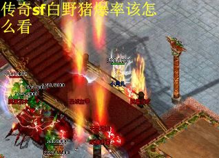 传奇sf白野猪爆率该怎么看