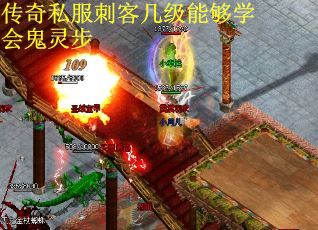 传奇私服刺客几级能够学会鬼灵步