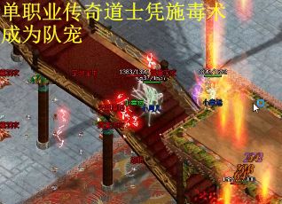 单职业传奇道士凭施毒术成为队宠