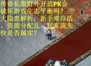 传奇私服野外开放PK会破坏游戏生态平衡吗？三大隐患解析：新手难存活、资源分配乱、玩家流失快是否属实？