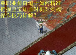 单职业传奇道士如何精准把握宝宝加血时机？实战操作技巧详解？