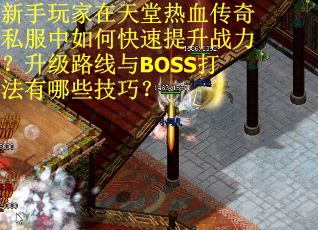 新手玩家在天堂热血传奇私服中如何快速提升战力？升级路线与BOSS打法有哪些技巧？
