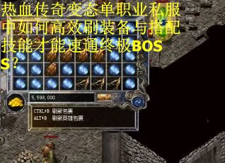 热血传奇变态单职业私服中如何高效刷装备与搭配技能才能速通终极BOSS？
