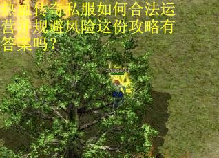 热血传奇私服如何合法运营并规避风险这份攻略有答案吗？