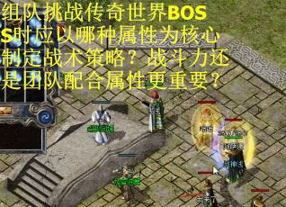 组队挑战传奇世界BOSS时应以哪种属性为核心制定战术策略？战斗力还是团队配合属性更重要？