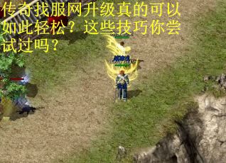 传奇找服网升级真的可以如此轻松？这些技巧你尝试过吗？