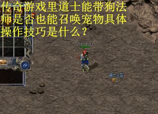 传奇游戏里道士能带狗法师是否也能召唤宠物具体操作技巧是什么？