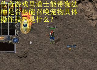 传奇游戏里道士能带狗法师是否也能召唤宠物具体操作技巧是什么？