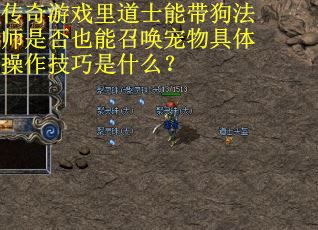 传奇游戏里道士能带狗法师是否也能召唤宠物具体操作技巧是什么？