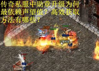 传奇私服中勋章升级为何最依赖声望值？高效获取方法有哪些？