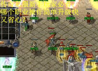 传奇私服新手玩家必看：哪个职业操作简单升级快又省心？