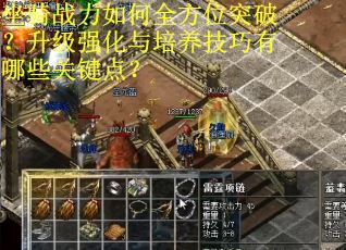 坐骑战力如何全方位突破？升级强化与培养技巧有哪些关键点？