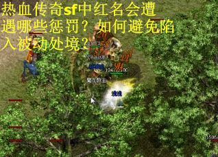 热血传奇sf中红名会遭遇哪些惩罚？如何避免陷入被动处境？