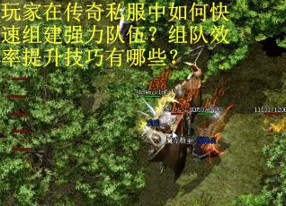 玩家在传奇私服中如何快速组建强力队伍？组队效率提升技巧有哪些？