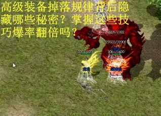 高级装备掉落规律背后隐藏哪些秘密？掌握这些技巧爆率翻倍吗？