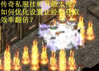 传奇私服挂机升级太慢？如何优化设置让经验获取效率翻倍？