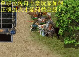 单职业传奇土豪玩家如何正确加点才能问鼎全服？
