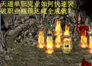 天道单职完业如何快速突破职业瓶颈达成全成就？