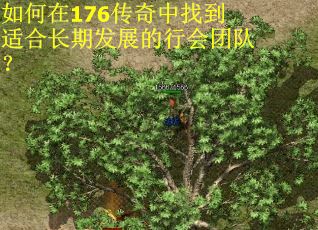 如何在176传奇中找到适合长期发展的行会团队？
